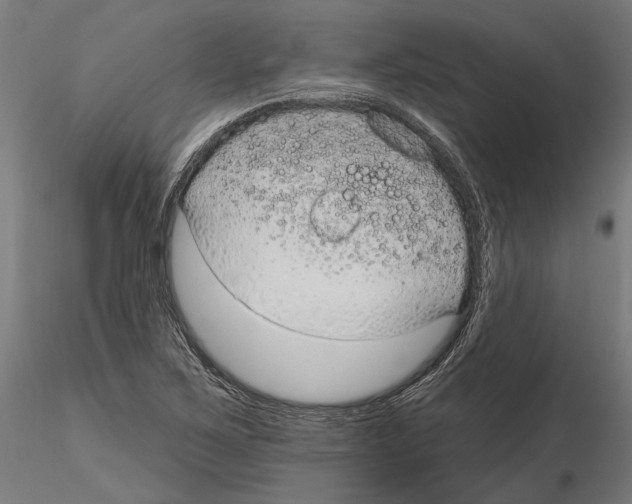 X0000116111267200912211625