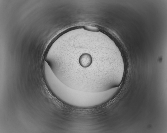 X0000116111268200912211625