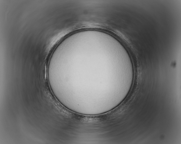 X0000116111269200912211625