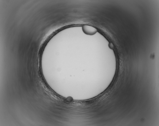 X0000116111270200912211625