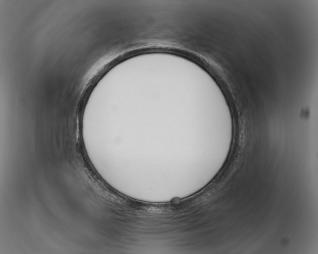 X0000116111271200912211625