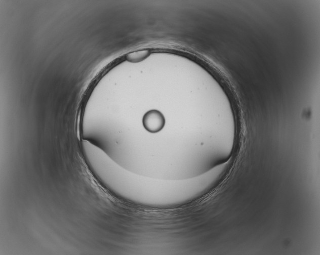 X0000116111272200912211625