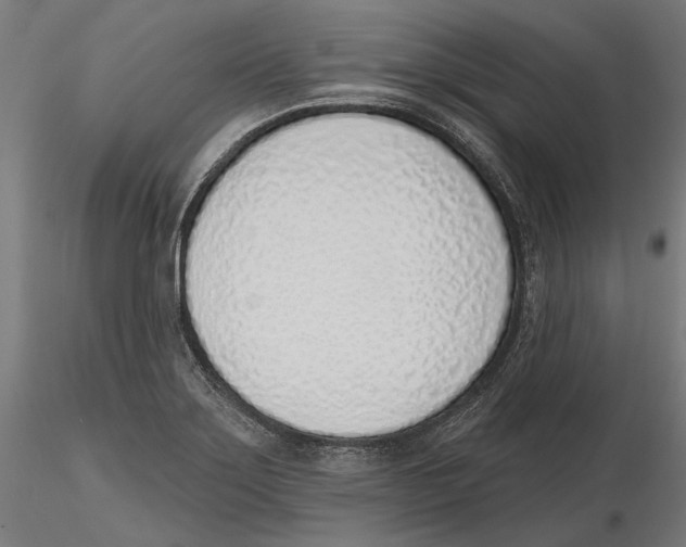 X0000116111275200912211625