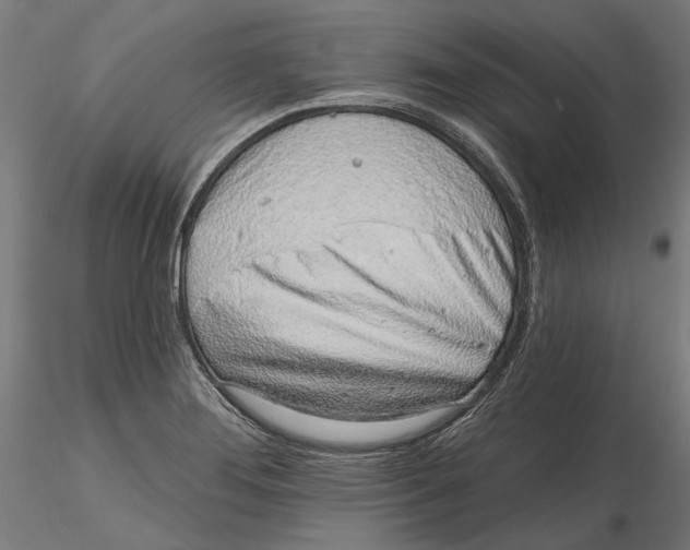 X0000116111276200912211625