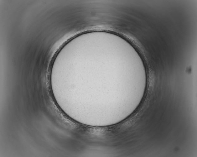 X0000116111278200912211625