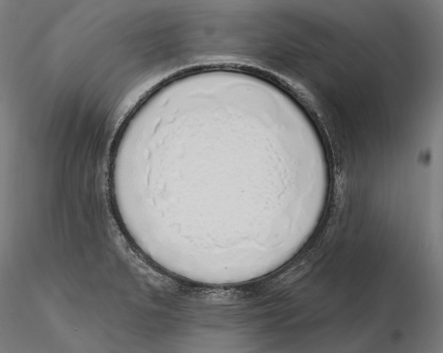 X0000116111279200912211625