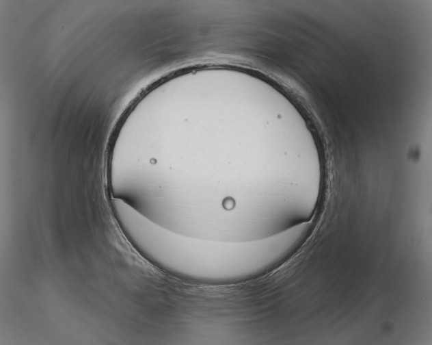 X0000116111280200912211625