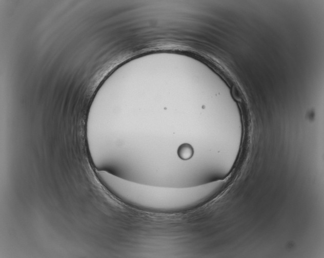 X0000116111281200912211625