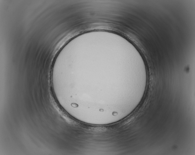 X0000116111282200912211625