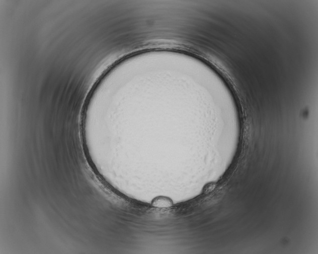 X0000116111283200912211625