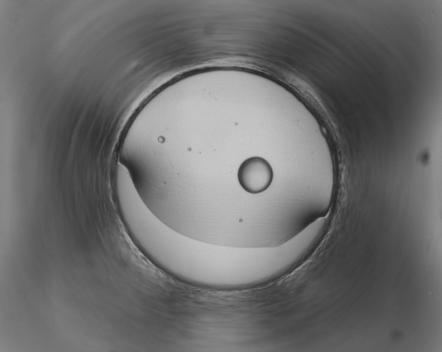 X0000116111284200912211625