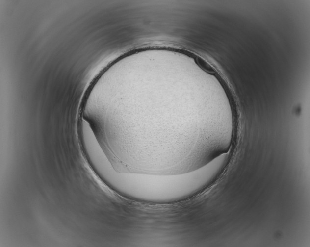 X0000116111285200912211625