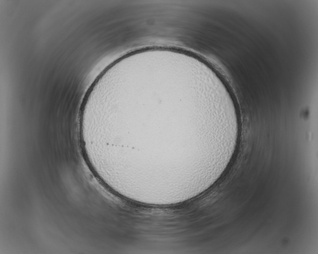 X0000116111287200912211625