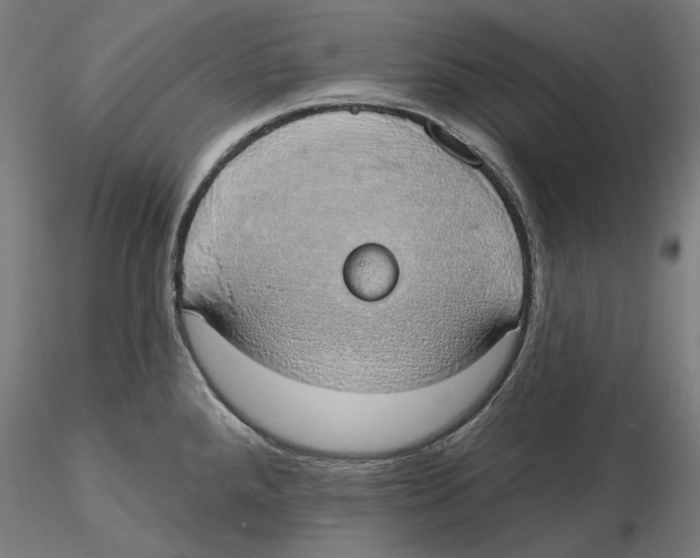 X0000116111288200912211625