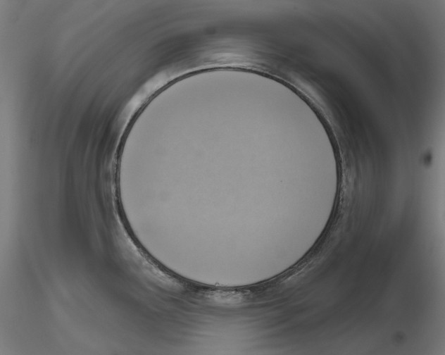 X0000116111291200912211625