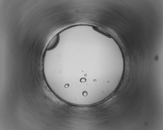 X0000116111292200912211625