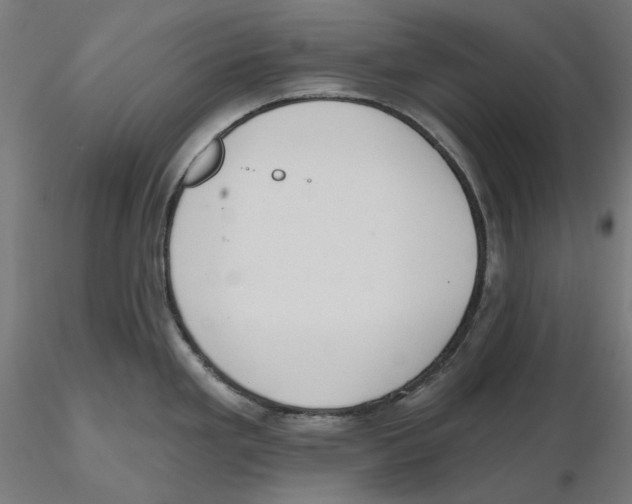 X0000116111293200912211625