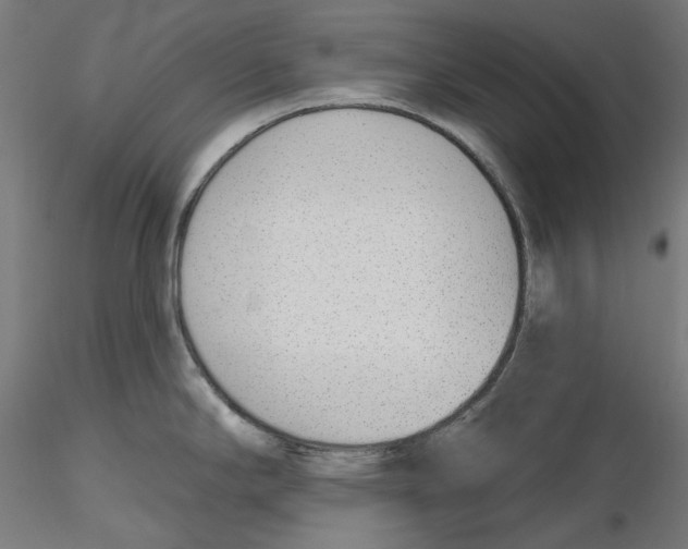 X0000116111294200912211625