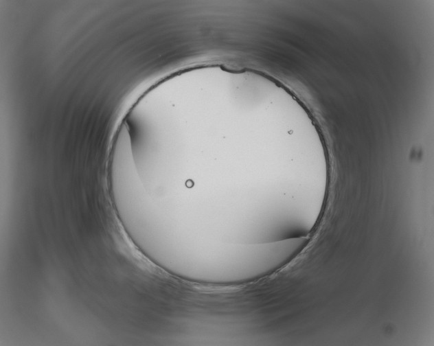 X0000116111296200912211625