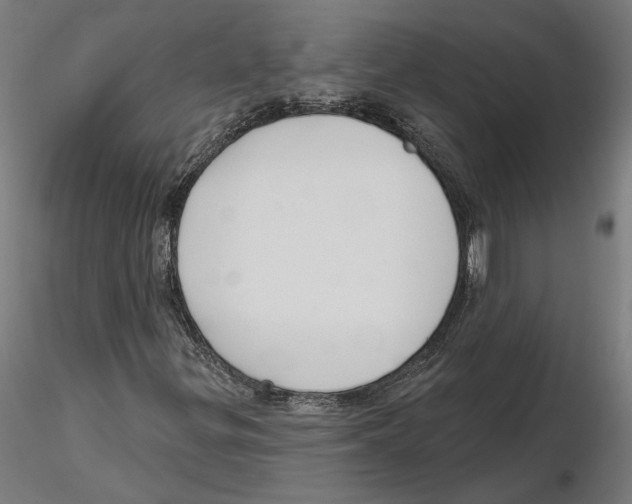 X0000116111299200912211624