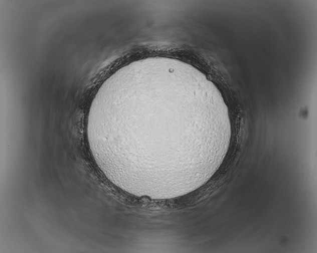 X0000116111301200912211624