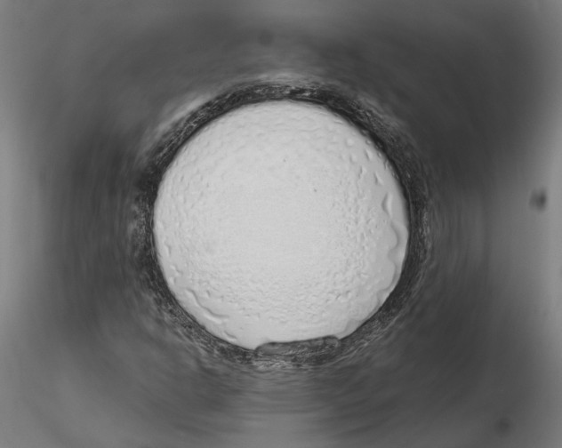 X0000116111302200912211624