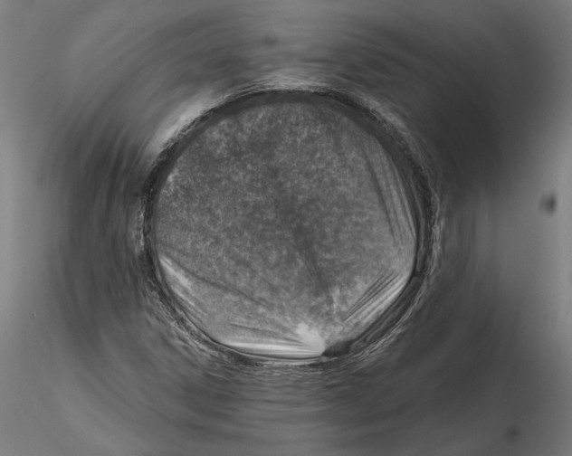 X0000116111306200912211624