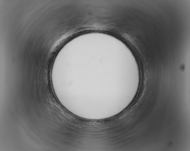 X0000116111307200912211624