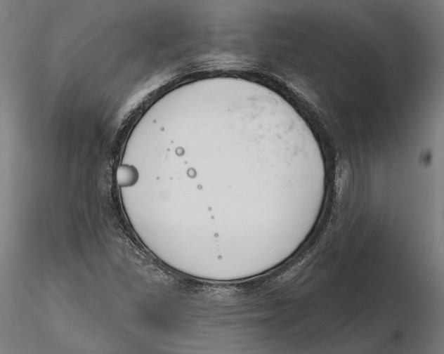 X0000116111309200912211624