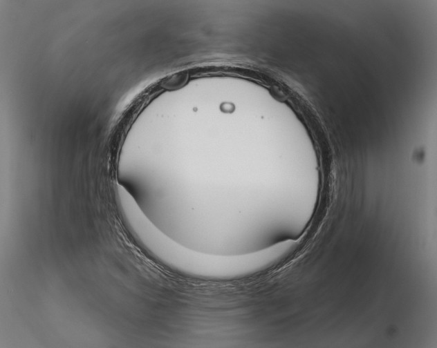 X0000116111310200912211624