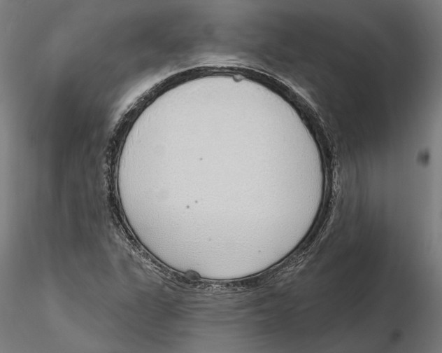 X0000116111311200912211624