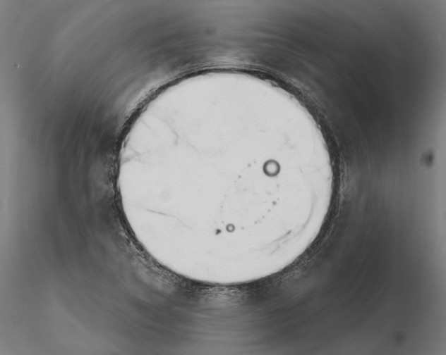 X0000116111314200912211624