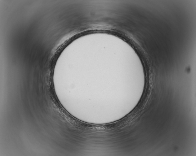 X0000116111315200912211624