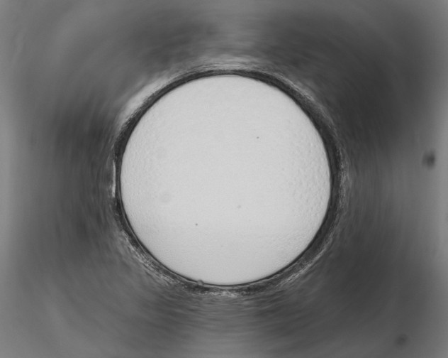 X0000116111317200912211624