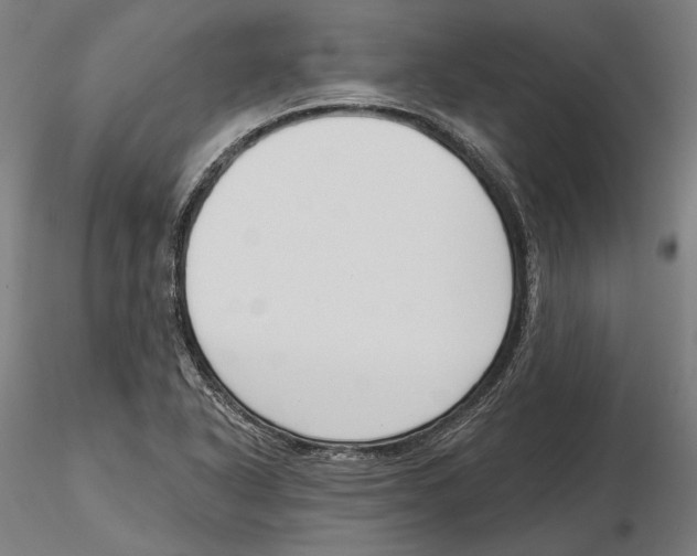 X0000116111318200912211624