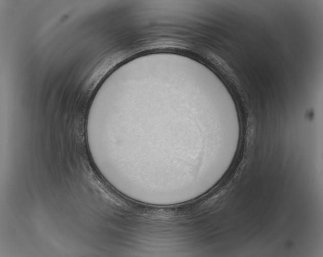 X0000116111321200912211624