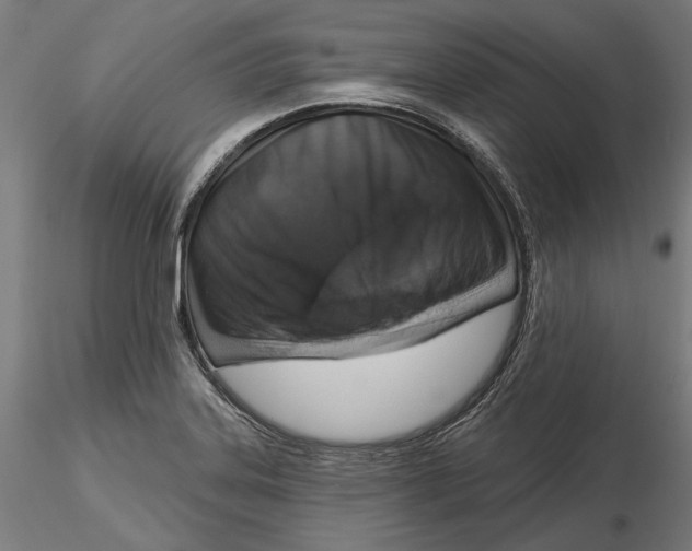 X0000116111323200912211624