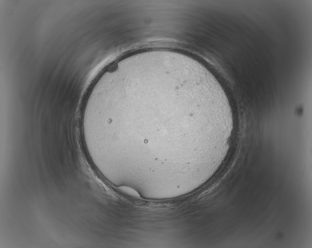 X0000116111325200912211624