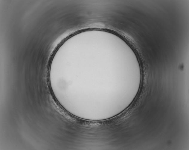 X0000116111326200912211624