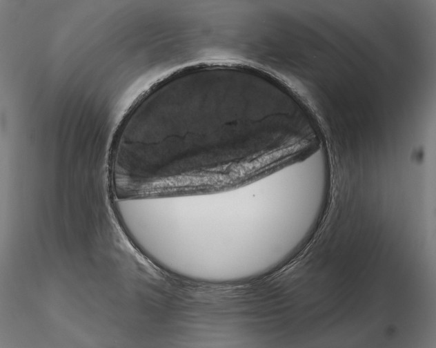 X0000116111327200912211624