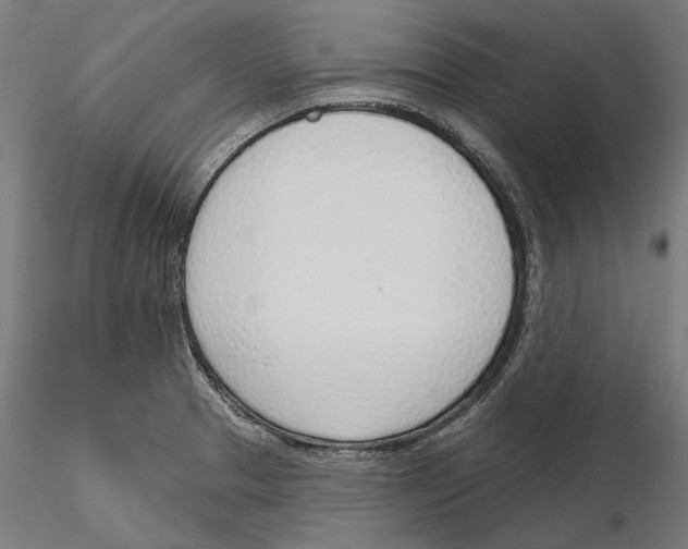 X0000116111329200912211624