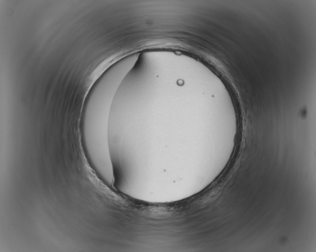 X0000116111330200912211624