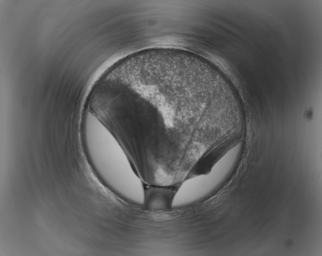 X0000116111331200912211624