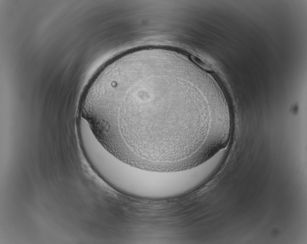 X0000116111334200912211624