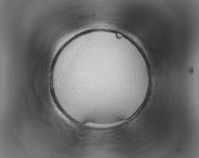 X0000116111335200912211624