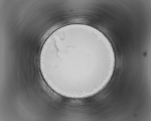 X0000116111338200912211625