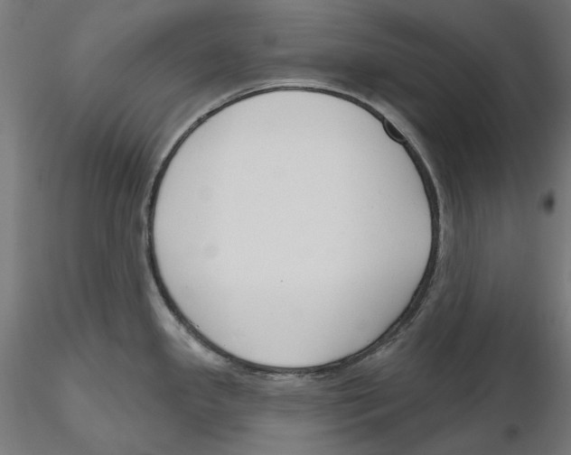 X0000116111341200912211625