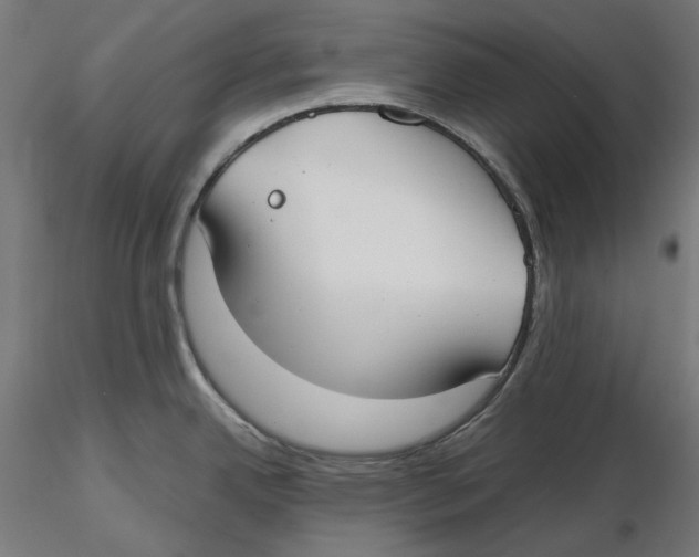 X0000116111342200912211625