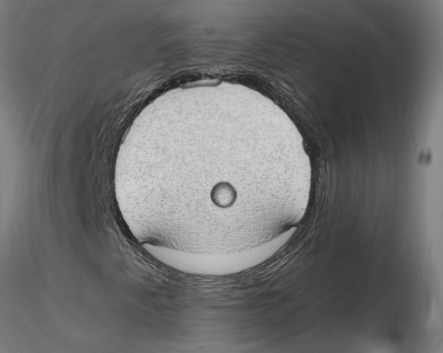 X0000116111345200912211624