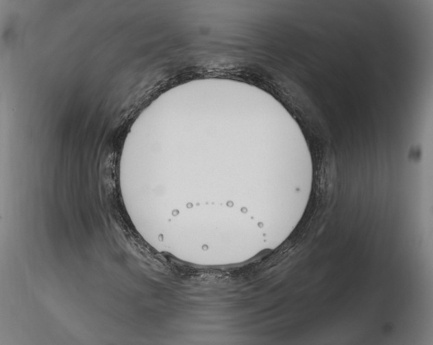 X0000116111346200912211624